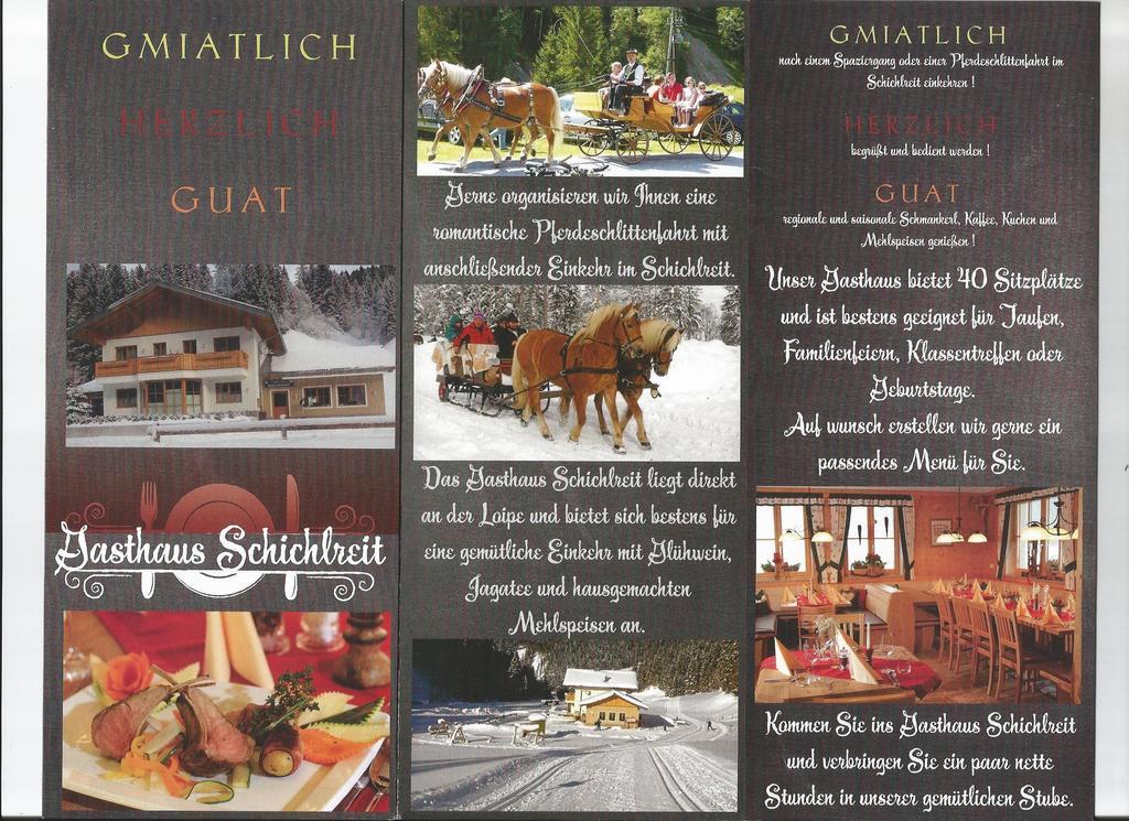 Schwarzenbacher * Lungotz