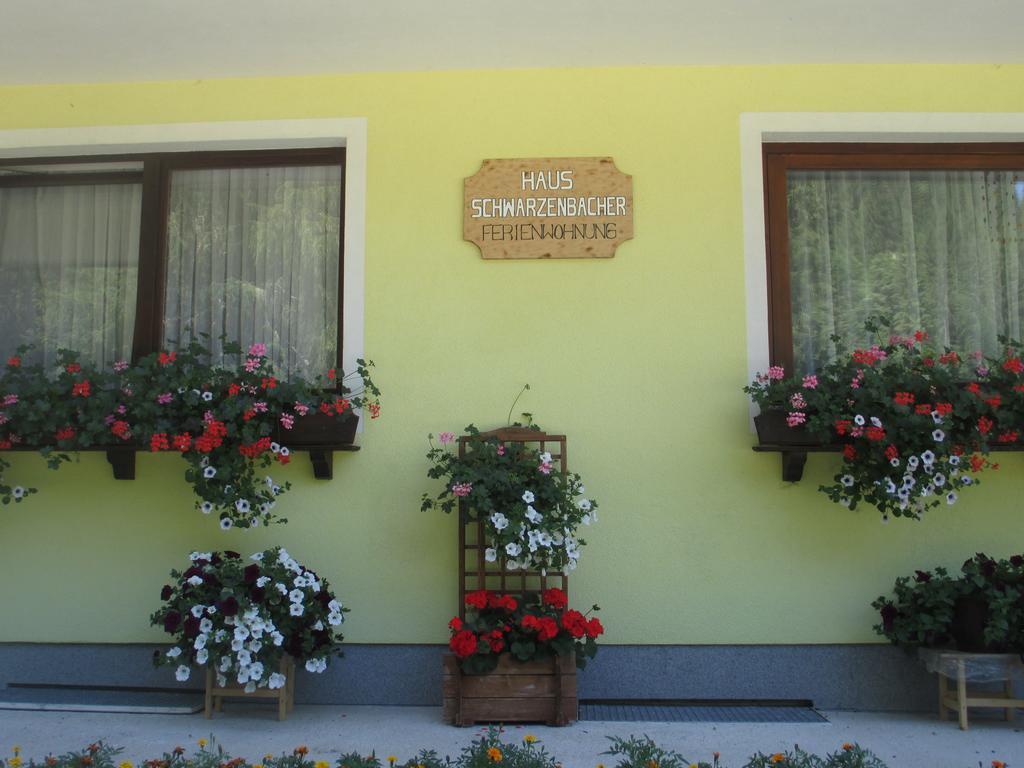 Schwarzenbacher Apartment Lungotz