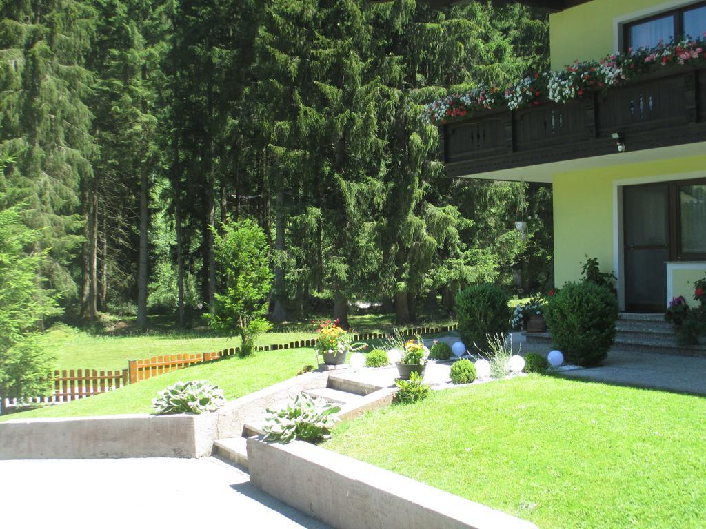 Schwarzenbacher