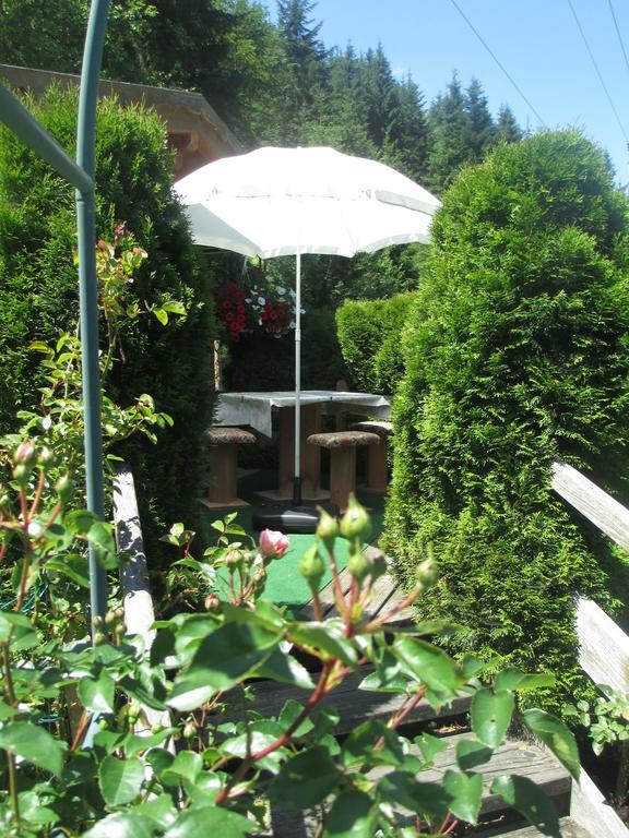 Schwarzenbacher Lungotz
