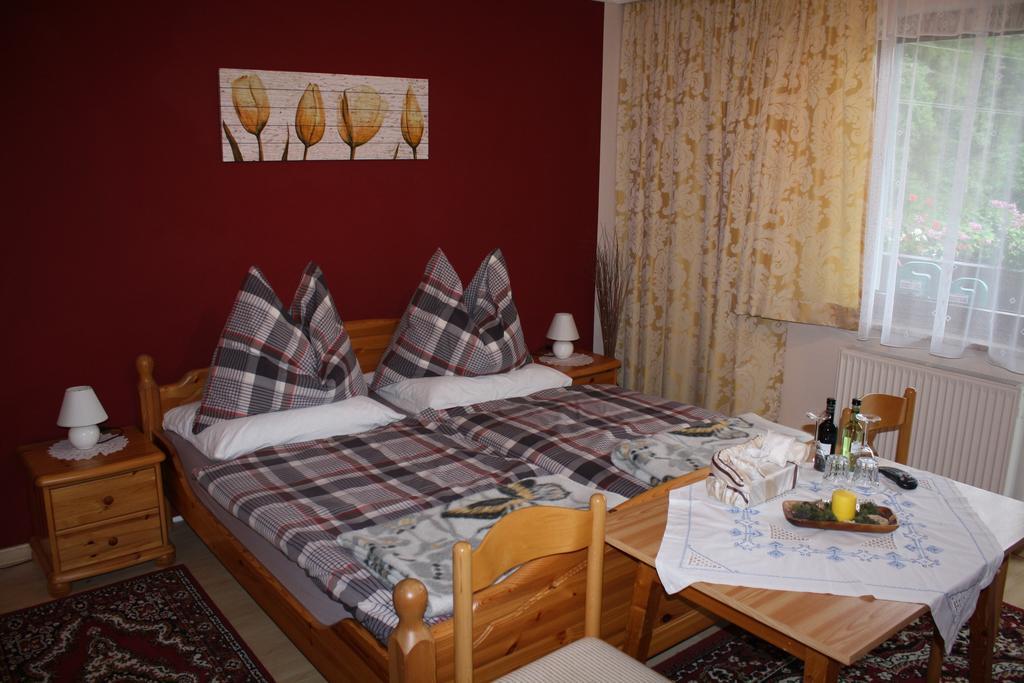 Schwarzenbacher Apartment Lungotz